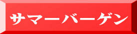 サマーバーゲン